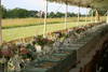 Catering Setting 1